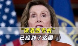 佩洛希最新爆料,揭秘政治内幕与权力斗争真相