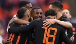 荷兰队长爆料了吗视频,爆料视频背后的真相与内幕