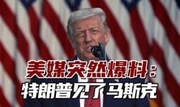 美媒爆料马斯克事件视频,美媒揭秘惊人一幕